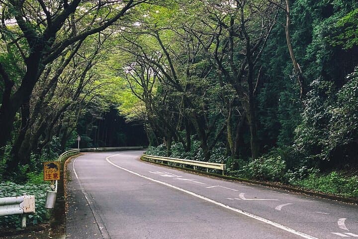 Group Day Tour to Fuji/Hakone - Onsen and Nature - From Tokyo — photo 9