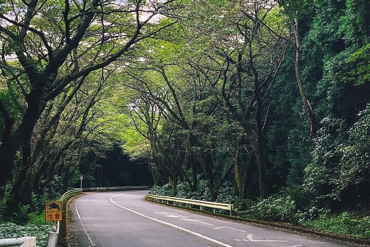 From Tokyo: Private Motorcycle Tour - Mt Fuji, Hakone and Onsen — photo 9