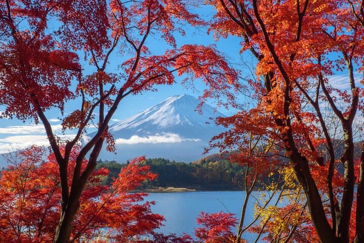 From Tokyo: Private Motorcycle Tour - Mt Fuji, Hakone and Onsen — photo 17