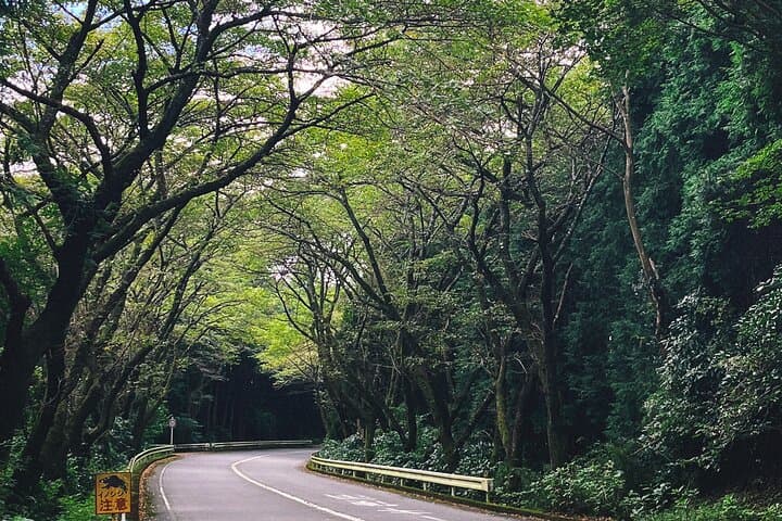 From Tokyo: Private JDM/Sports Car Tour - Mt Fuji and Hakone — photo 10