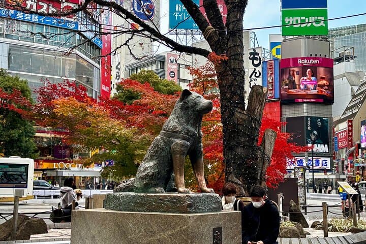 Private Curated Tour | Get Tokyo’s Must Sees & Unique Insights — photo 9