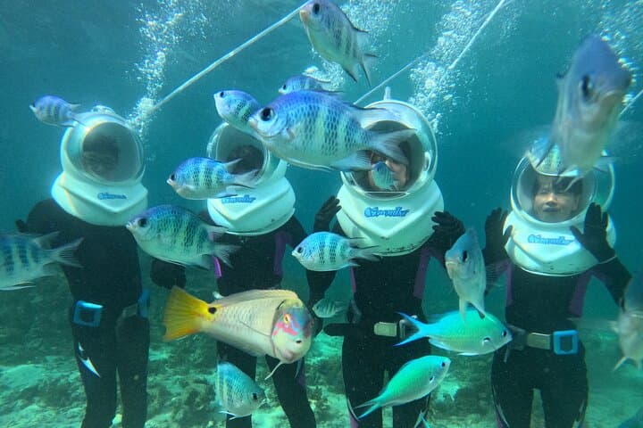 Underwater SeaWalker Experience Ishigaki Island — photo 3