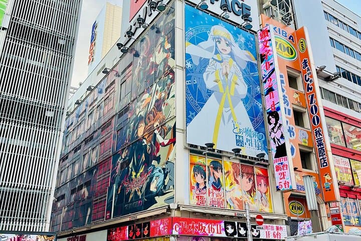 Tokyo Full Day Asakusa, Akihabara, Harajuku and Shinjuku — photo 3