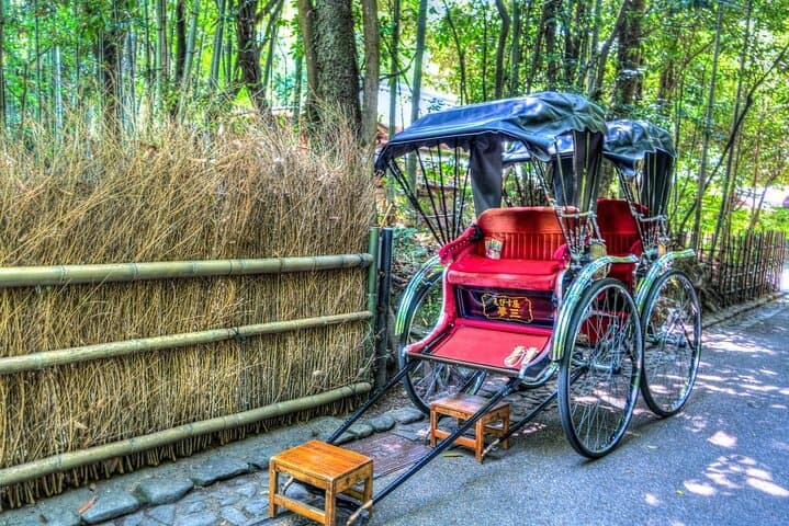 Kyoto: Arashiyama Early Access Bamboo & Temple Tour — photo 12