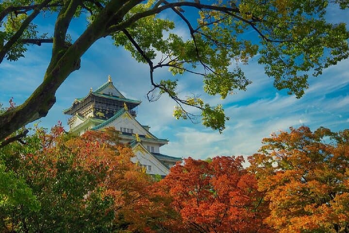 Osaka Castle & Samurai Tour: Entry Included Option — photo 19