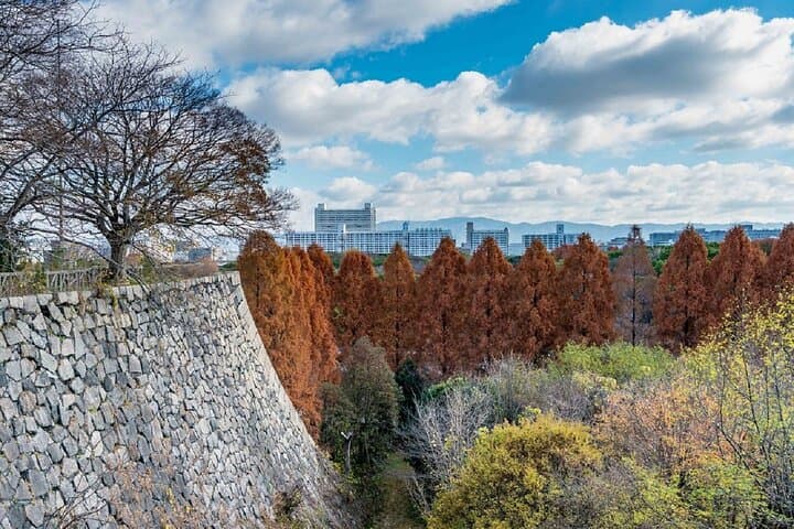 Osaka Castle & Samurai Tour: Entry Included Option — photo 17