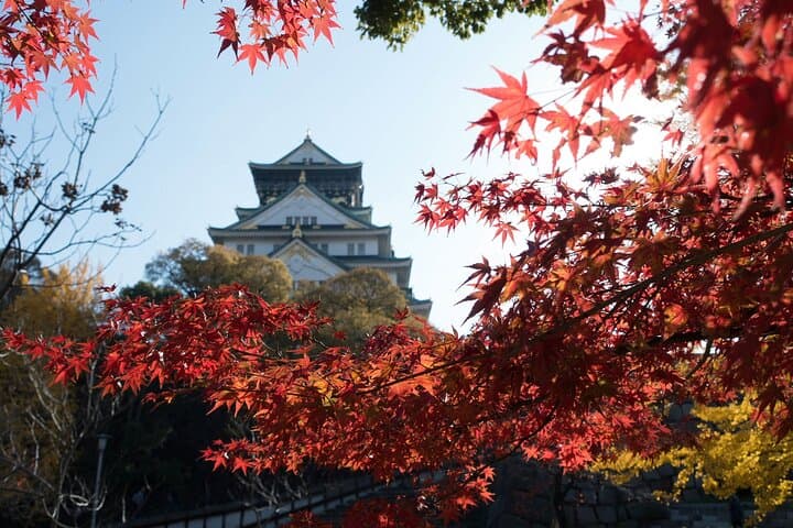 Osaka Castle & Samurai Tour: Entry Included Option — photo 16
