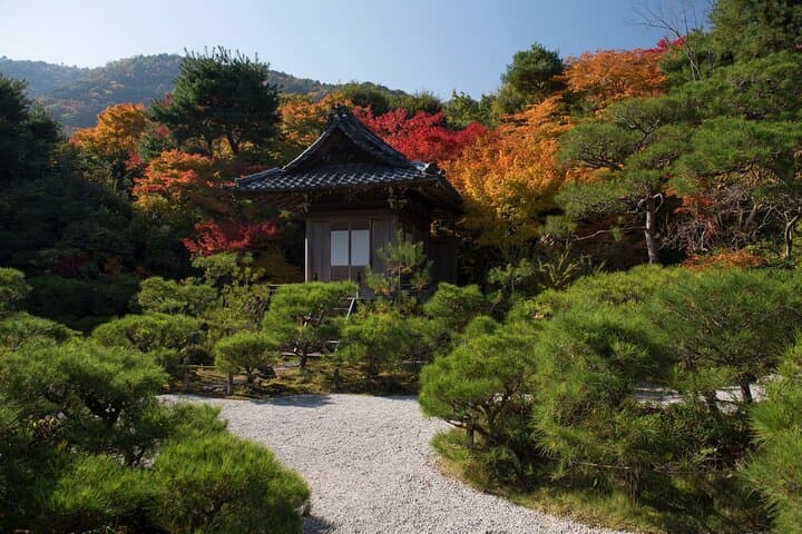 Kyoto's Arashiyama Bamboo Grove: 3-Hour Guided Tour — photo 6