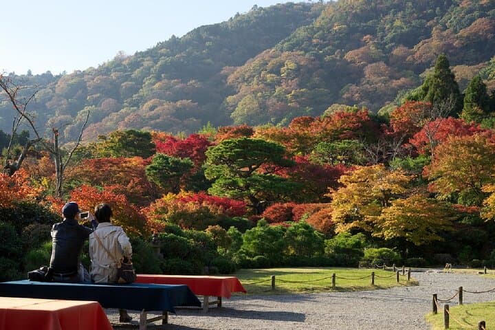 Kyoto's Arashiyama Bamboo Grove: 3-Hour Guided Tour — photo 2