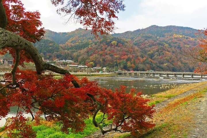 Kyoto's Arashiyama Bamboo Grove: 3-Hour Guided Tour — photo 8