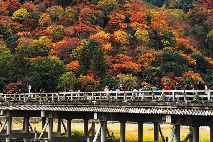 Kyoto's Arashiyama Bamboo Grove: 3-Hour Guided Tour — photo 5