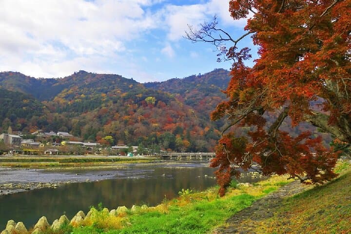 Kyoto's Arashiyama Bamboo Grove: 3-Hour Guided Tour — photo 7