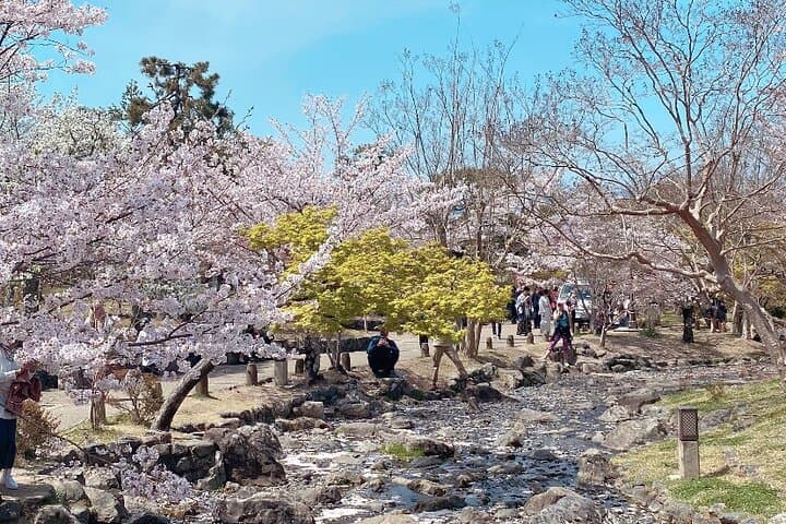 Kyoto E Bike Tour and Aroma Spa Experience — photo 16