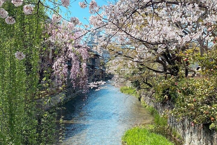 Kyoto E Bike Tour and Aroma Spa Experience — photo 17
