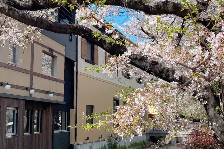 Kyoto E Bike Tour and Aroma Spa Experience — photo 18