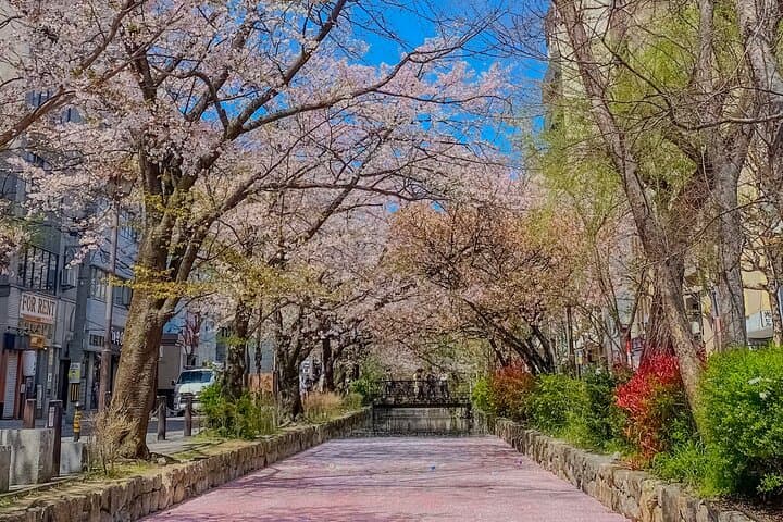Kyoto E Bike Tour and Aroma Spa Experience — photo 19