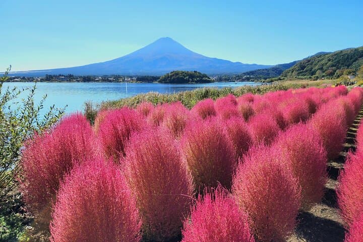 Mt Fuji Tour from Shimizu Port by Private Car — photo 3