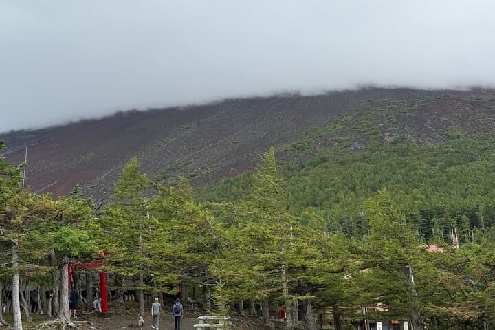 Mt. Fuji Luxury Getaway and Hakone Adventure by Private Car — photo 4