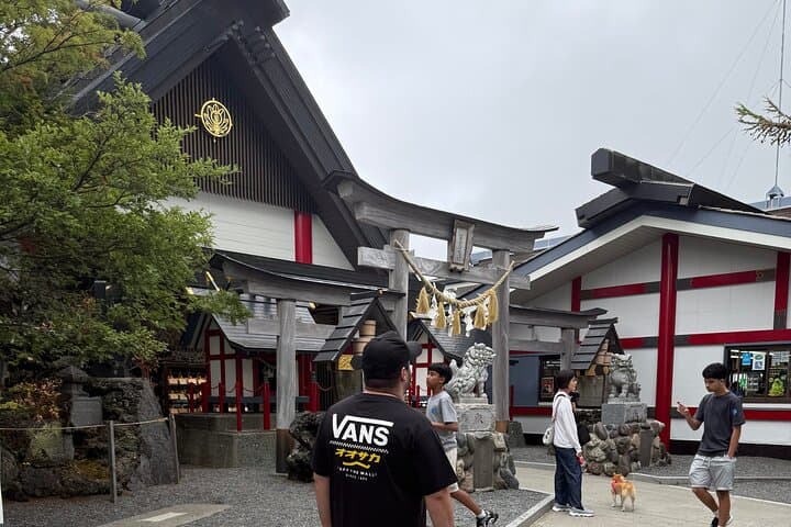 Mt. Fuji Luxury Getaway and Hakone Adventure by Private Car — photo 7