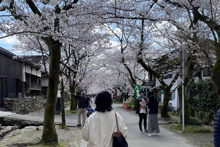 Kimono Experience in Akizuki Castle Town — photo 2