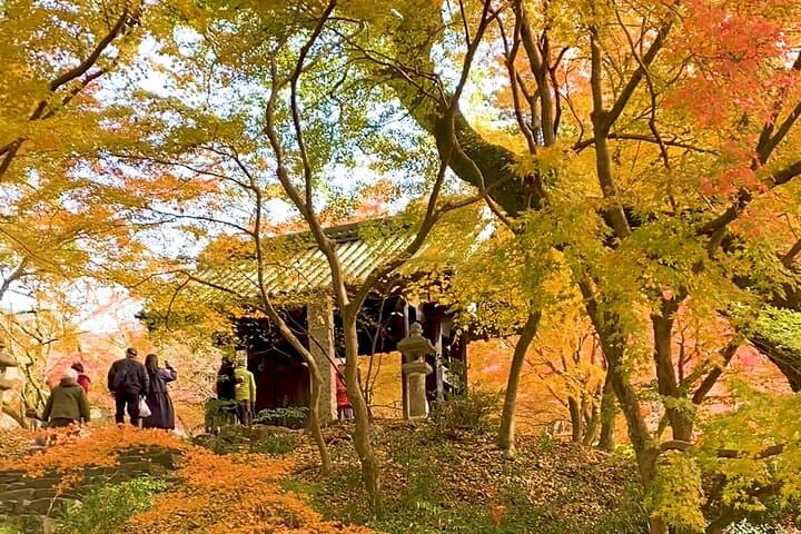Kimono Experience in Akizuki Castle Town — photo 3