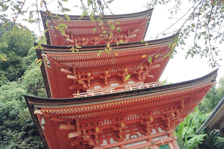 Lake Biwa: Mystical Chikubu Island Boat Tour from Many Ports — photo 14
