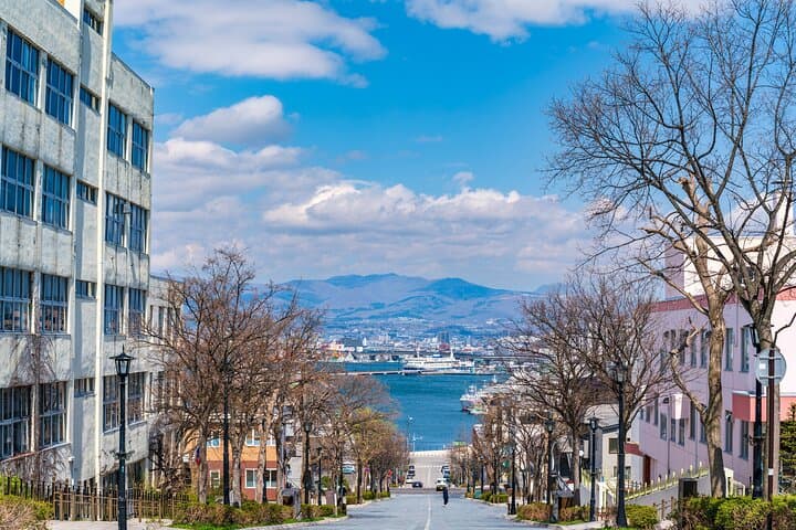 Full-Day Private Hakodate Shore Tour with Local Guide — photo 5