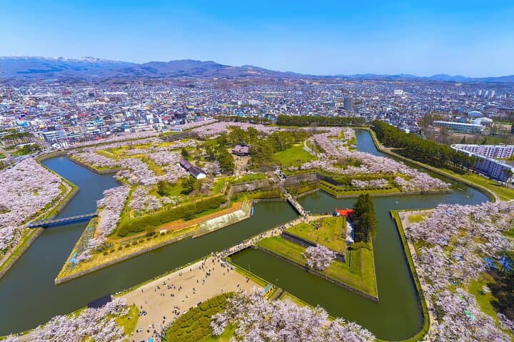 Full-Day Private Shore Tour Hakodate Highlights by Van — photo 5