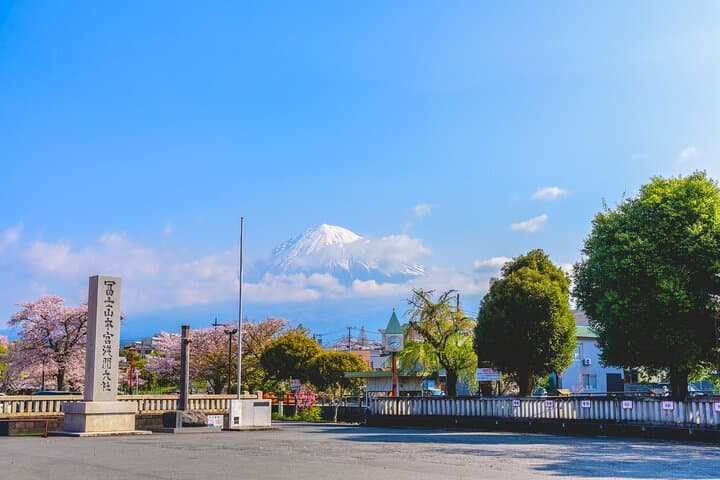 Private Shore Tour: Mt. Fuji Highlights from Shimizu Port — photo 6