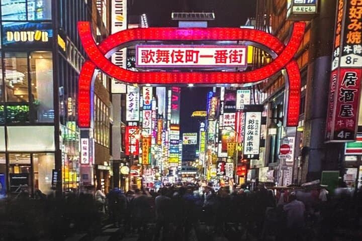 Tokyo VIP private nightlife tour with a local insider — photo 14