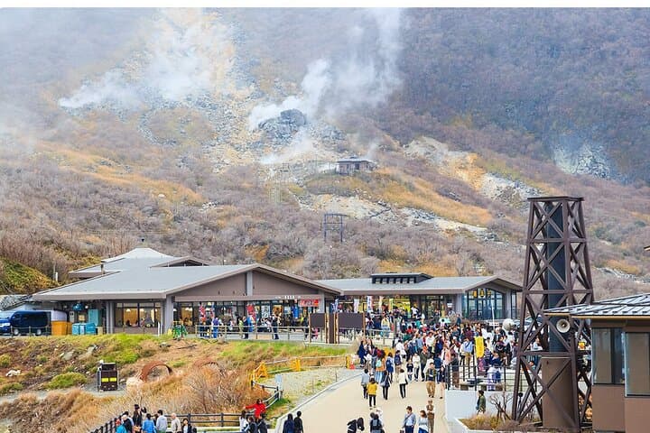 Mt. Fuji, Hakone, Owakudani, Lake Yamanaka Tour (Hakone Ropeway) — photo 11