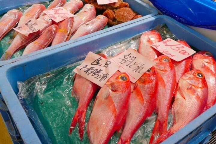 Tsukiji Market Street Food Adventure — photo 2
