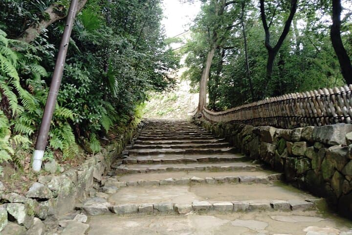 Shiga: Future World Heritage Site Hikone Castle Guided Tour — photo 10