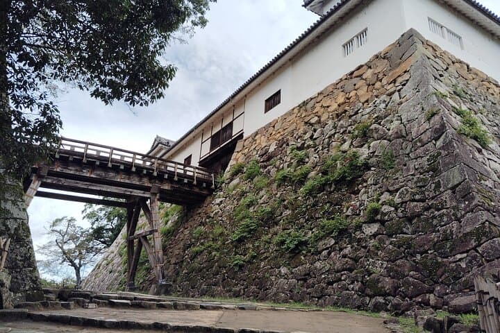 Shiga: Explore Hikone Castle and Savor Premium Omi Beef — photo 3