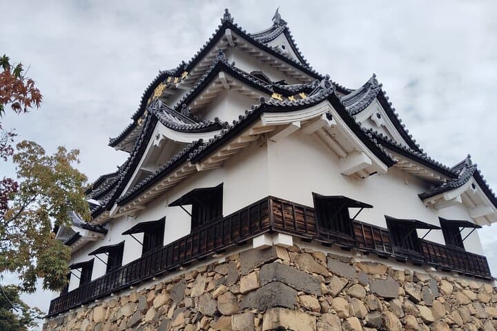 Shiga: Future World Heritage Site Hikone Castle Guided Tour — photo 11