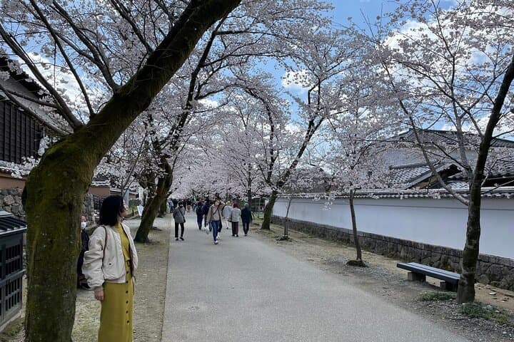 Kimono Experience in Akizuki Castle Town — photo 10