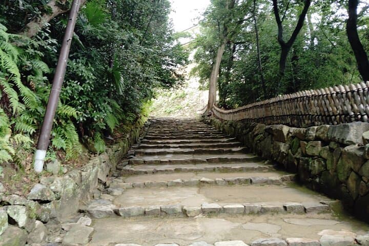 Shiga: Explore Hikone Castle and Savor Premium Omi Beef — photo 7