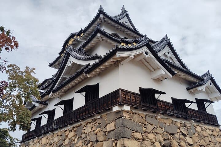 Shiga: Explore Hikone Castle and Savor Premium Omi Beef — photo 9