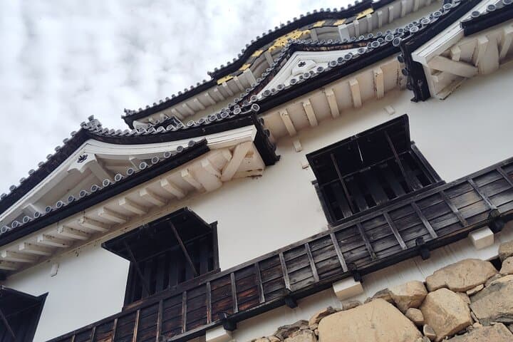 Shiga: Explore Hikone Castle and Savor Premium Omi Beef — photo 13
