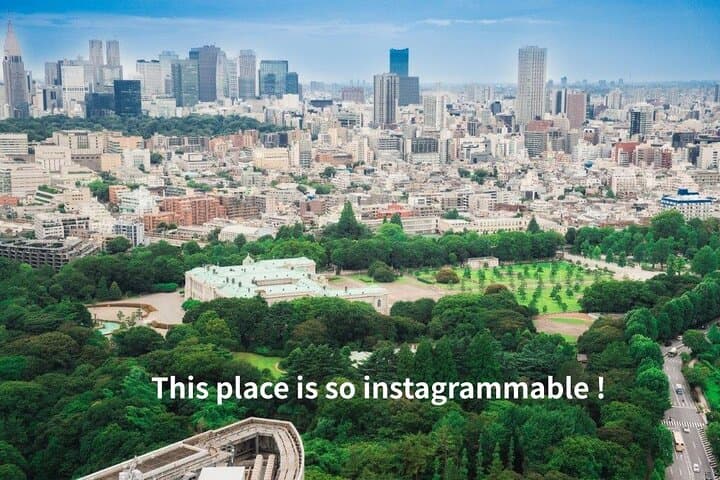 Tokyo Guest House and Imperial Residence Aerial View Experience