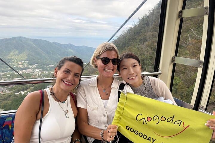 Tokyo: Mt. Fuji Hakone tour, Cable car&Optional Lake Ashi Cruise — photo 8