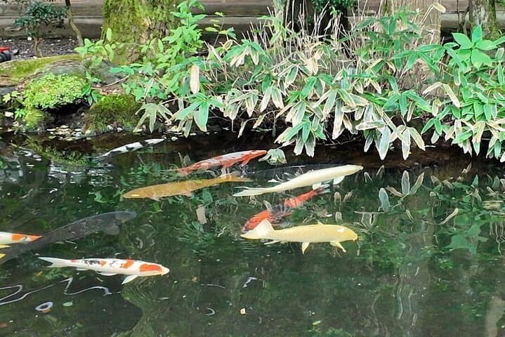 Ise Jingu Shrine Pilgrimage and Meoto Iwa Bus Tour — photo 5