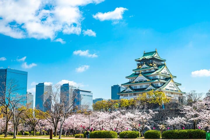 Samurai & Culture Discovery in Osaka: Private Shore Tour — photo 6