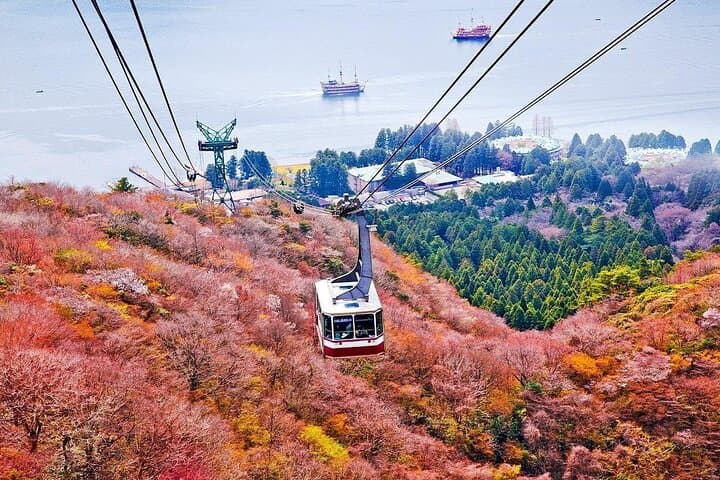 Mount Fuji and Hakone Day Trip with Ropeway Ride — photo 8