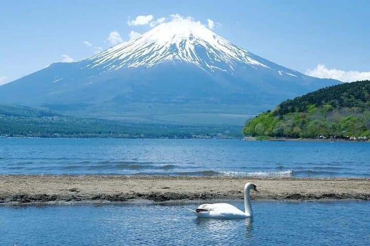 Mount Fuji and Hakone Day Trip with Ropeway Ride — photo 11