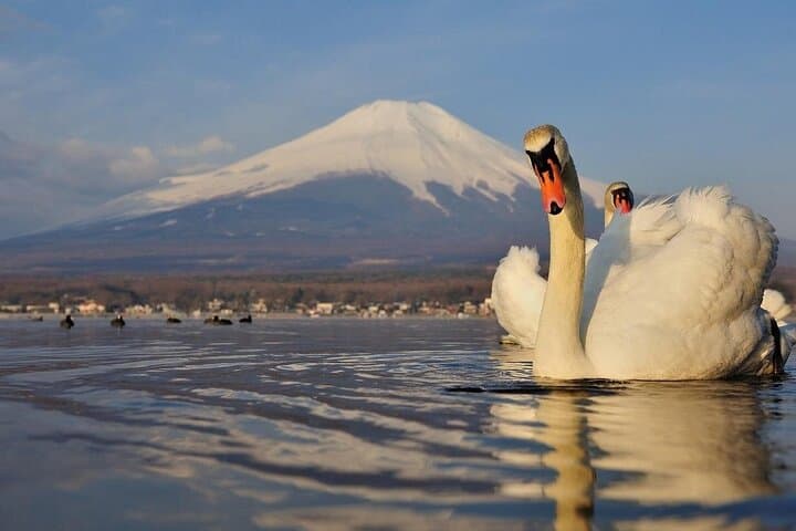 Mount Fuji and Hakone Day Trip with Ropeway Ride — photo 12
