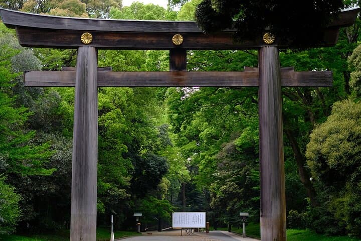 Luxury Private Tokyo Tour — photo 3