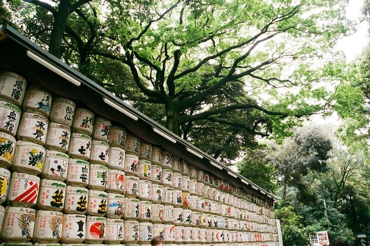 Luxury Private Tokyo Tour — photo 4