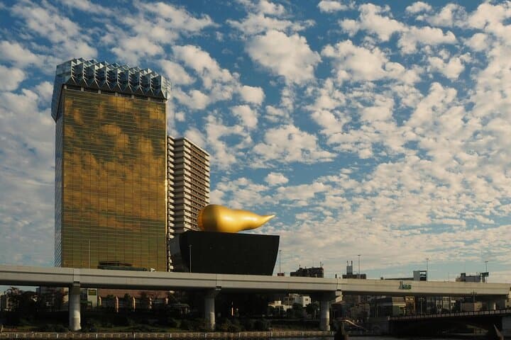 Luxury Private Tokyo Tour — photo 2