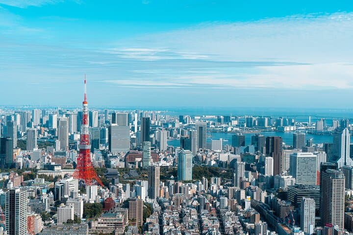 Luxury Private Tokyo Tour — photo 1